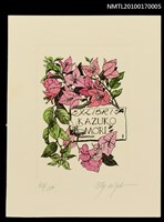 主要名稱：藏書票—九重葛（Bougainvillea）圖檔，第1張，共3張